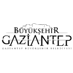 Gaziantep Vip Araç Kiralama